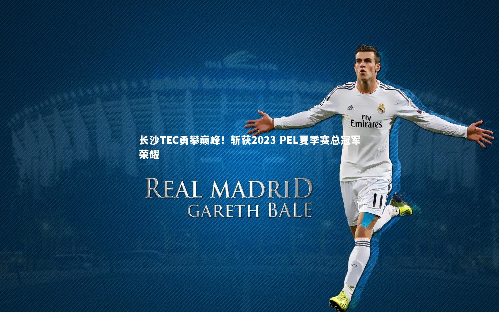 长沙TEC勇攀巅峰！斩获2023 PEL夏季赛总冠军荣耀